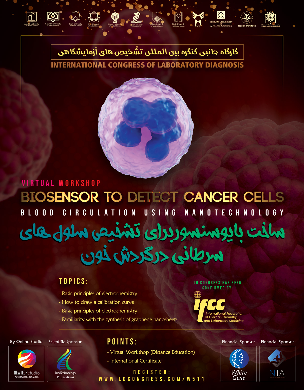 Construction of an Electrochemical Biosensor to Detect Circulating Cancer Cells Using Nanotechnology