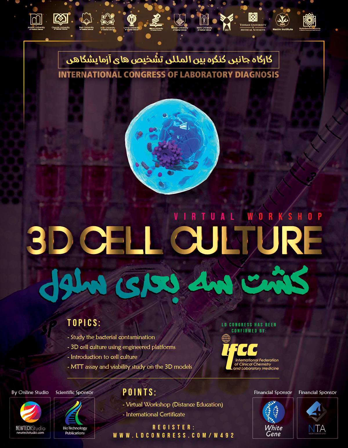 3D culture of cells