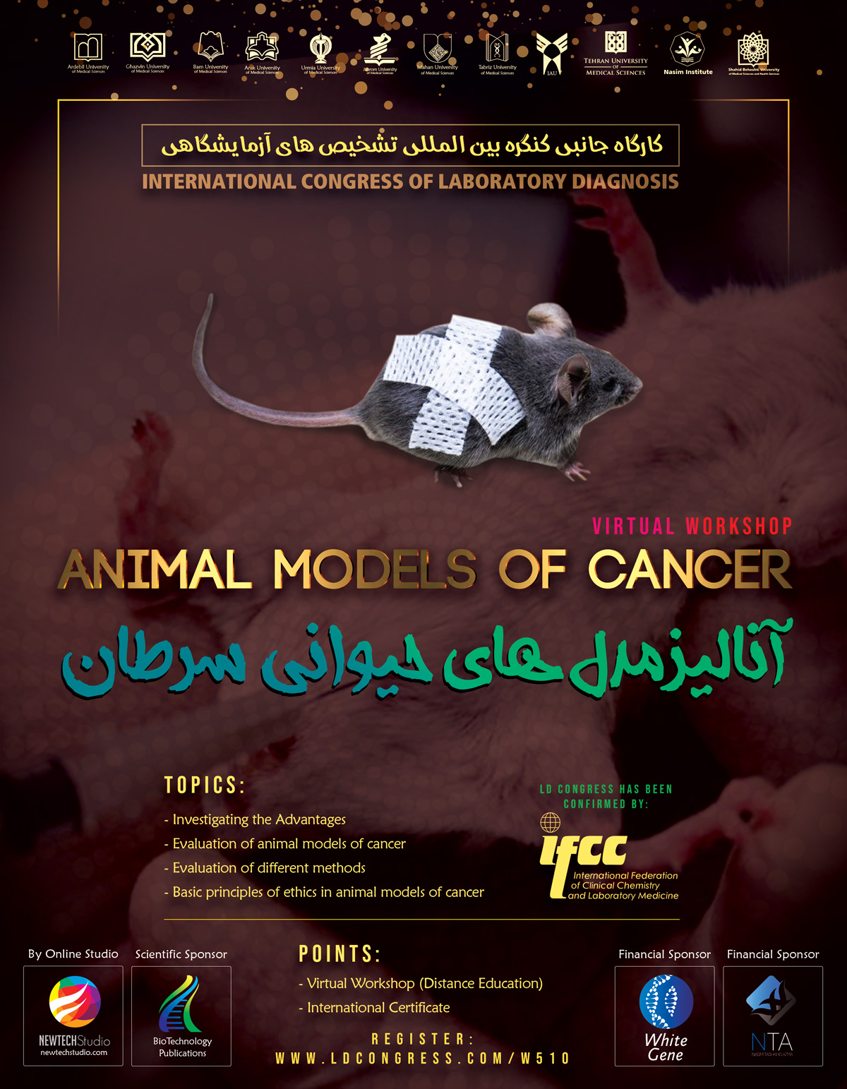 Principles of creating and analyzing animal models of cancer