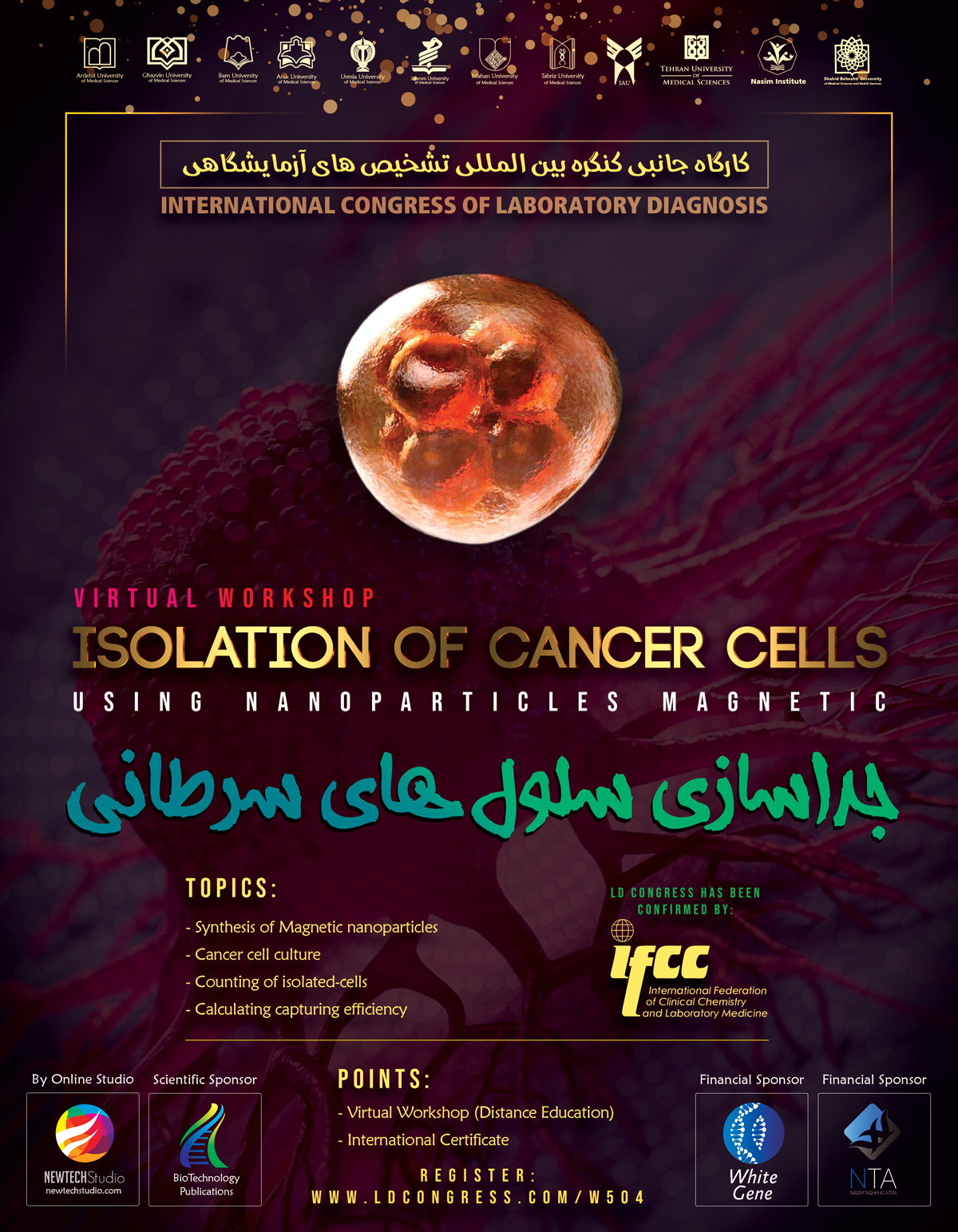 CTC isolation using magnetic nanoparticles