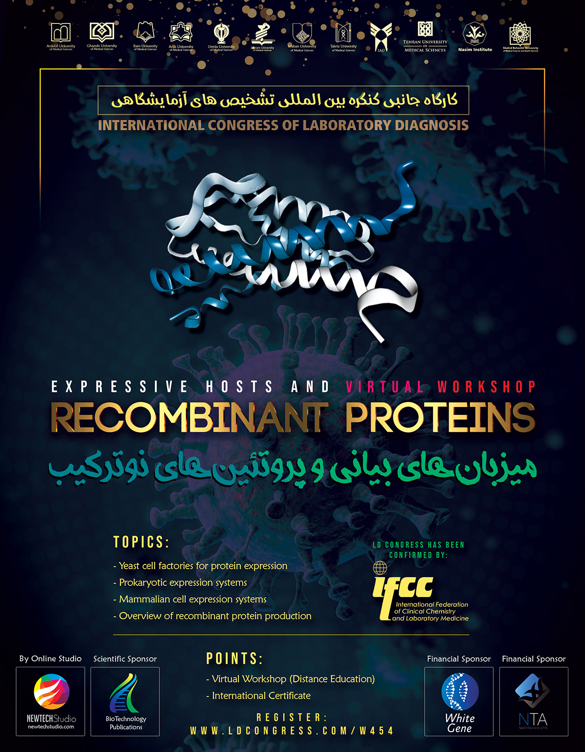 Theoretical and practical aspects of recombinant protein expression systems