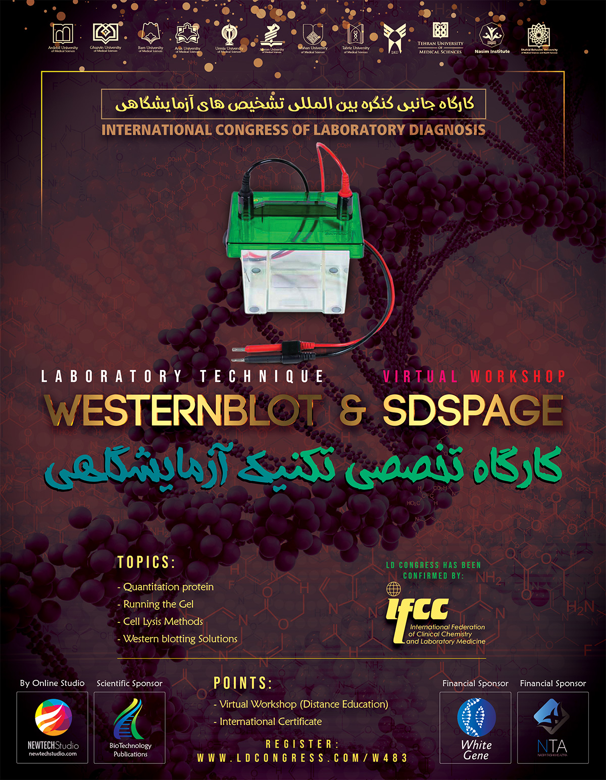 SDS-PAGE and Western Blot for Protein